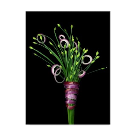 Susan S. Barmon 'Chive Blossoms And Red Onion' Canvas Art,24x32